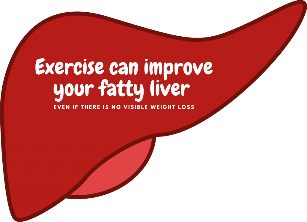 exercise improves fatty liver even if there is no visible weight loss